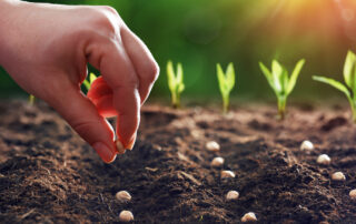 Person planting seeds representing positive mindset and personal growth.