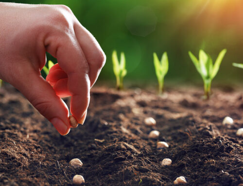 What Future Do You Deserve?