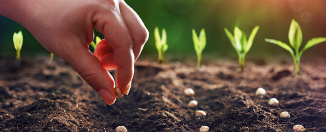 Person planting seeds representing positive mindset and personal growth.